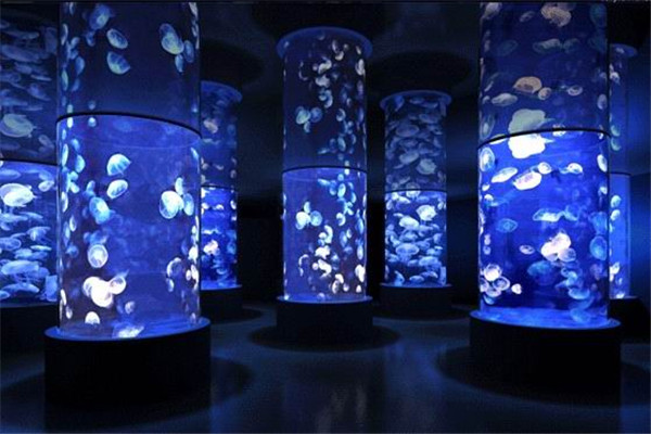 海悦天地海洋公园，庄里溜娃好去处