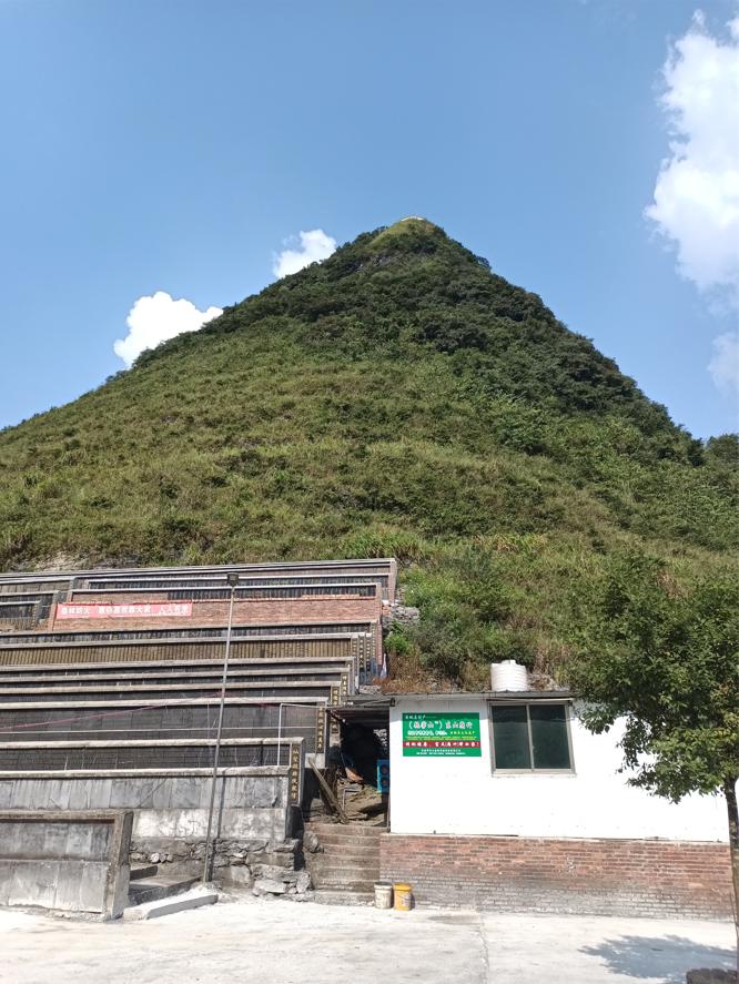 冈仁波齐最新视频,冈仁波齐神山不枉此生