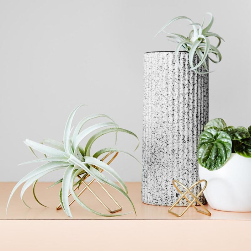植物展现架,多层植物展现架