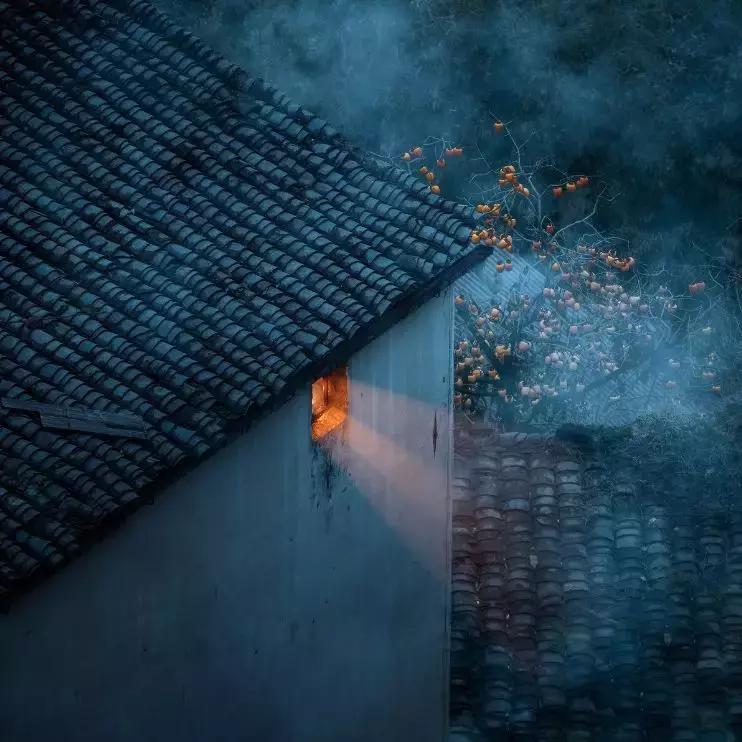 冬季视觉治愈系列！治好你的“冬天不想出门症”~