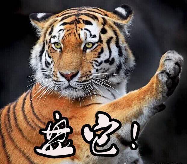 盘它抢先版演唱视频,盘它抖音完整版