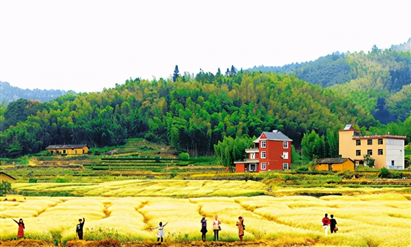 新手如何做电商卖货 (农村电商怎么卖货)