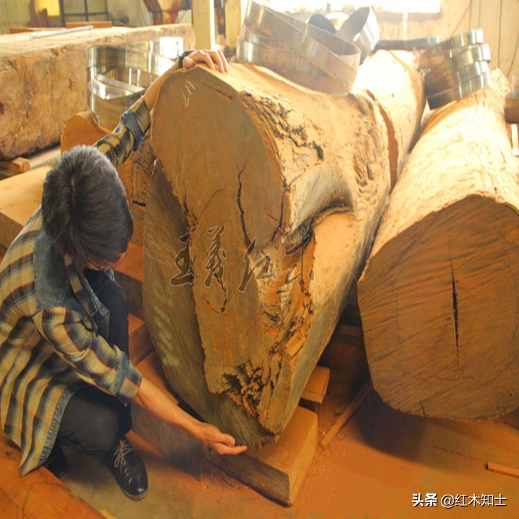 缅甸花梨木的六大优势,缅甸花梨木为什么那么便宜