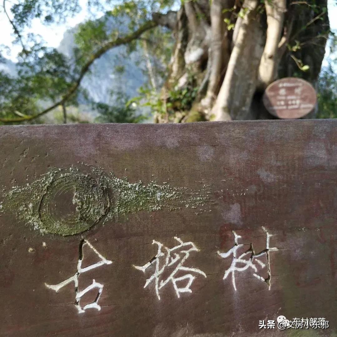 广西河池照片,广西河池图片大全