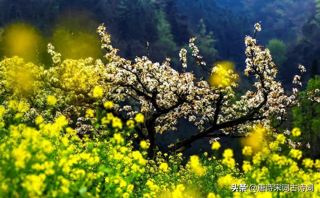 12首惊蛰诗词,关于惊蛰的诗句雷动惊蛰