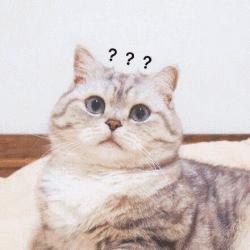 10元以下就能买到的口红,花十块钱搞定全色系大牌口红