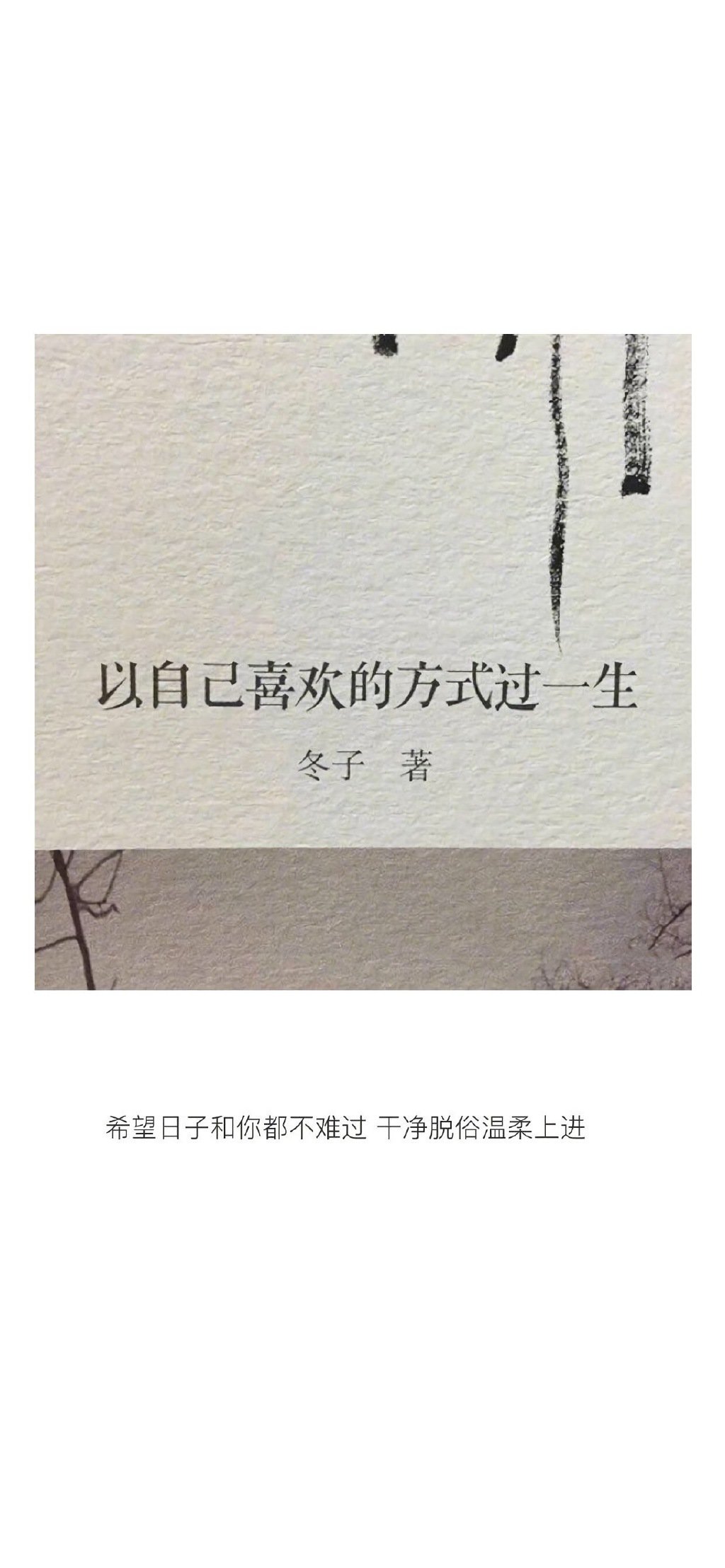 多彩壁纸535期｜文字控女生简约壁纸