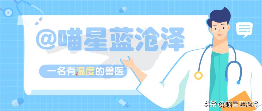 猫咪只吃猫粮不吃肉类可以吗,猫咪只吃肉不吃猫粮怎么补充营养