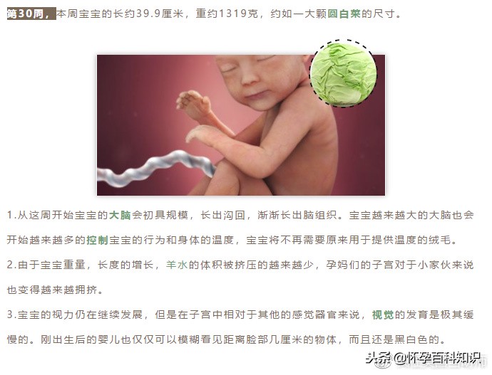 怀孕各个时期胎儿发育过程,怀孕的过程要几天