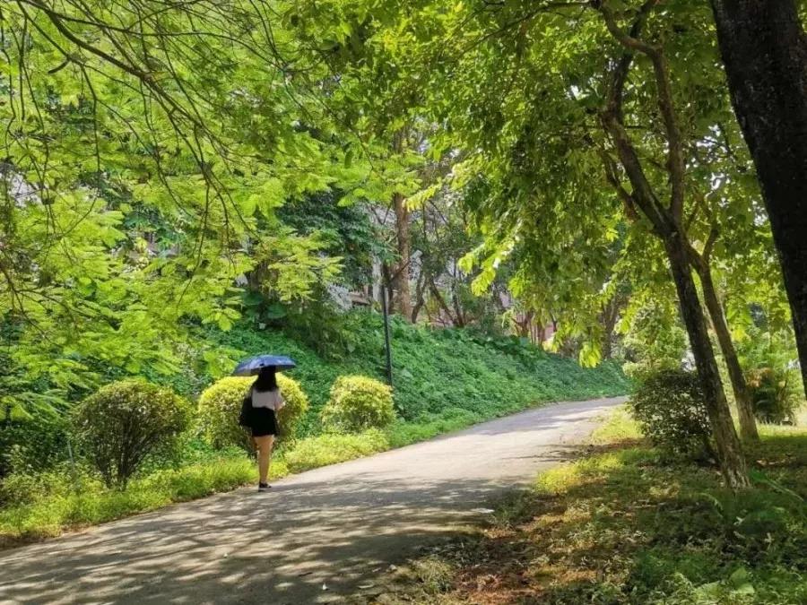 广州松田工作学院介绍,广州松田工作学院百科