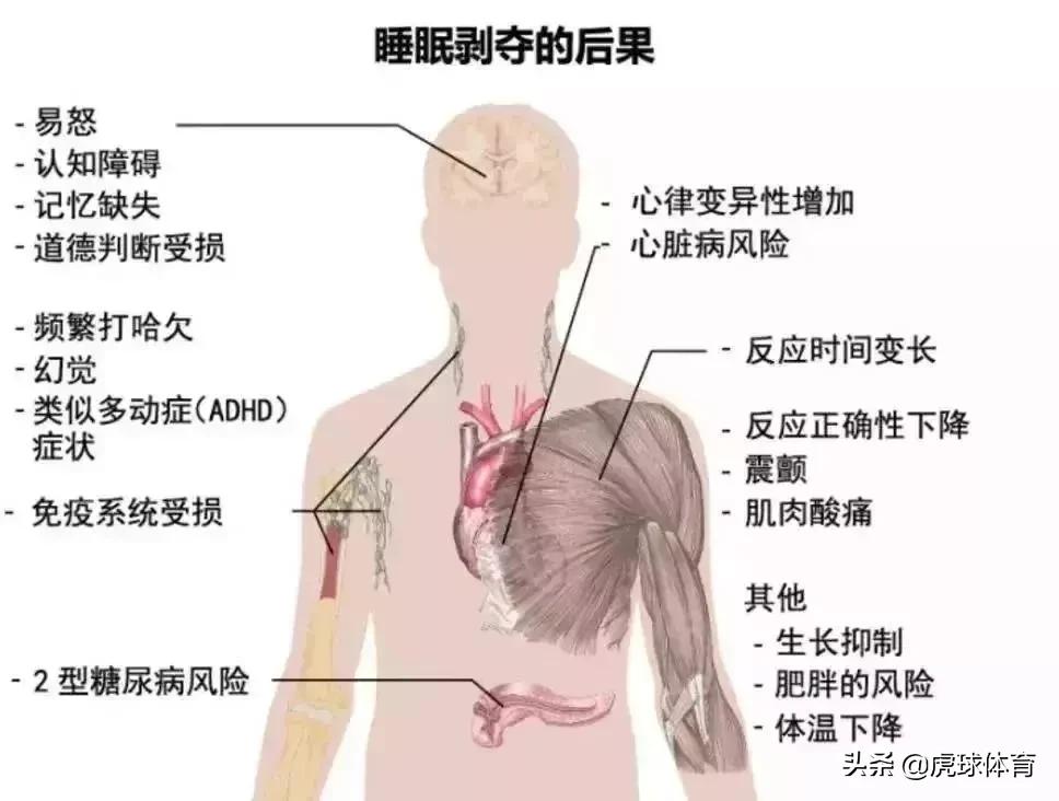 每天熬夜看球真的累了,熬夜看球赛注意健康