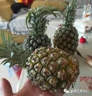 在网上买水果遇到假货怎么办,网上购买水果会被坑吗