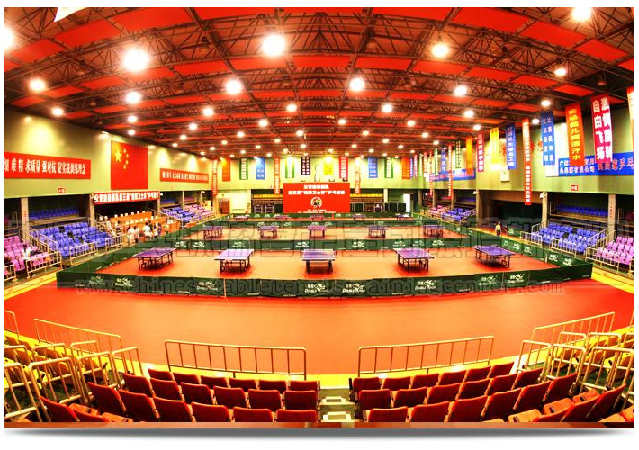 厦门和正定，八竿子打不着的南北双城，竟是国乒无敌的力量源泉？