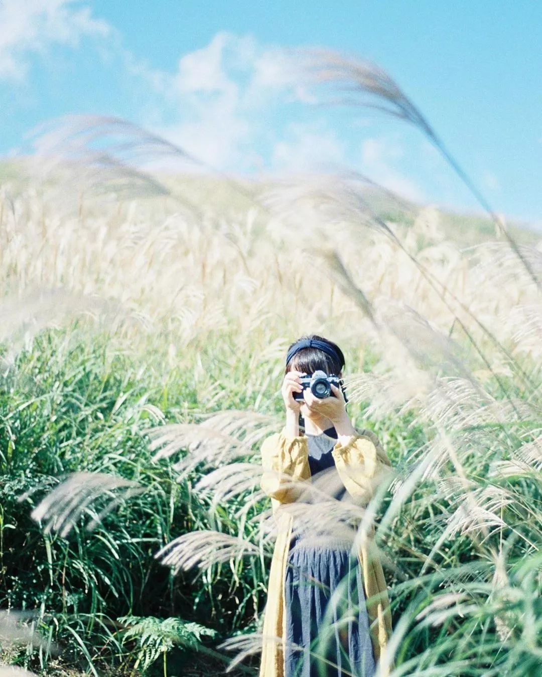 名古屋附近值得去的地方,名古屋附近有好玩的地方吗