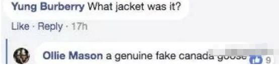 加拿大鹅被抢,加拿大羽绒服moose