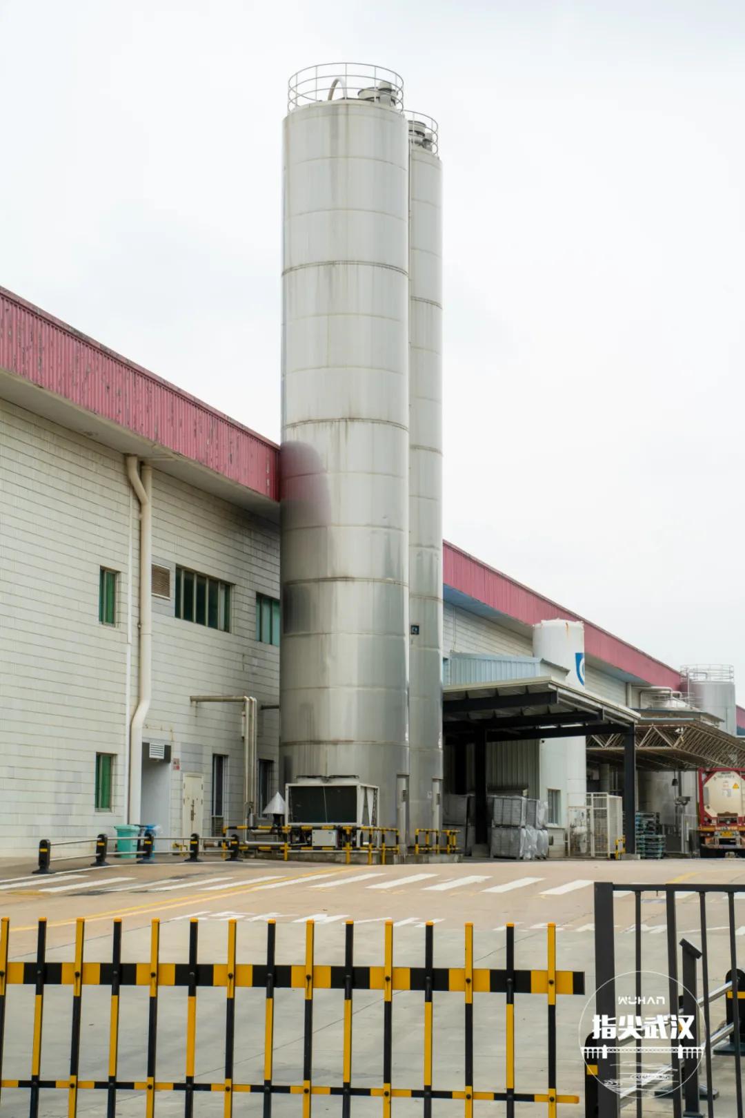 疫情过后带你看世界,疫情过后让我们重新认识一下