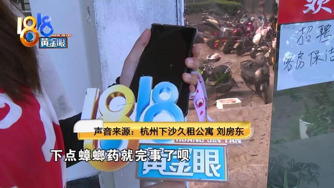 租房子蟑螂太多不想租了怎么办,租房蟑螂多和房东退房如何说