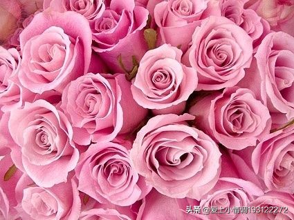 送花给女朋友选择什么花,第一次给女朋友送花要注意什么