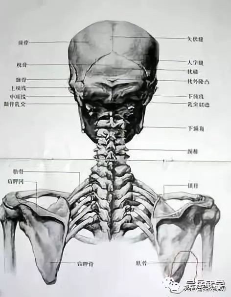 关节放松的正确动作,关节放松手法