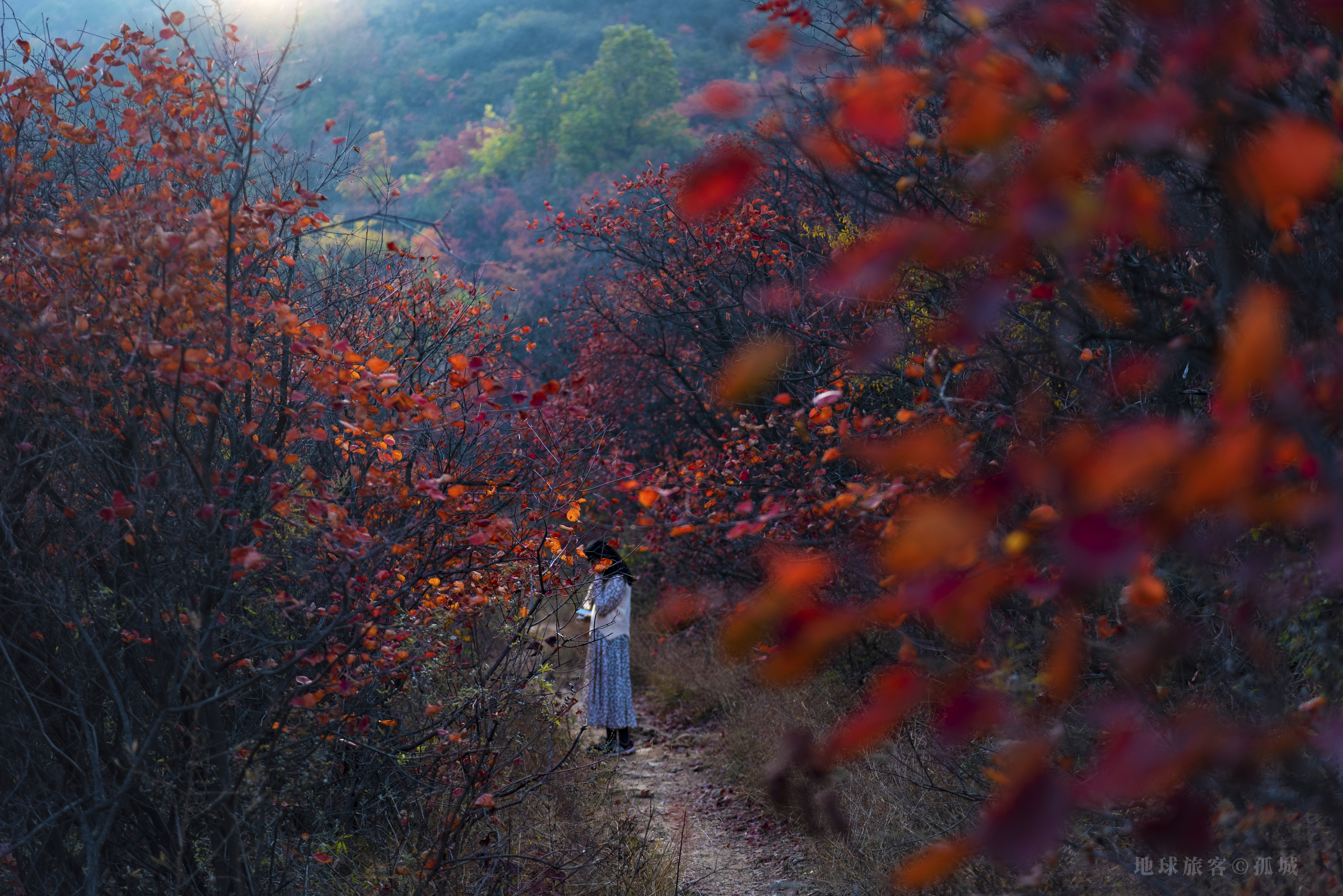 游中岳嵩山之旅,一分钟详解中岳嵩山风景
