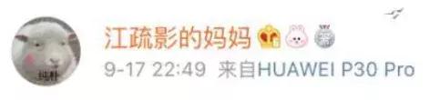 王晓晨和江疏影 (王晓晨与江疏影)