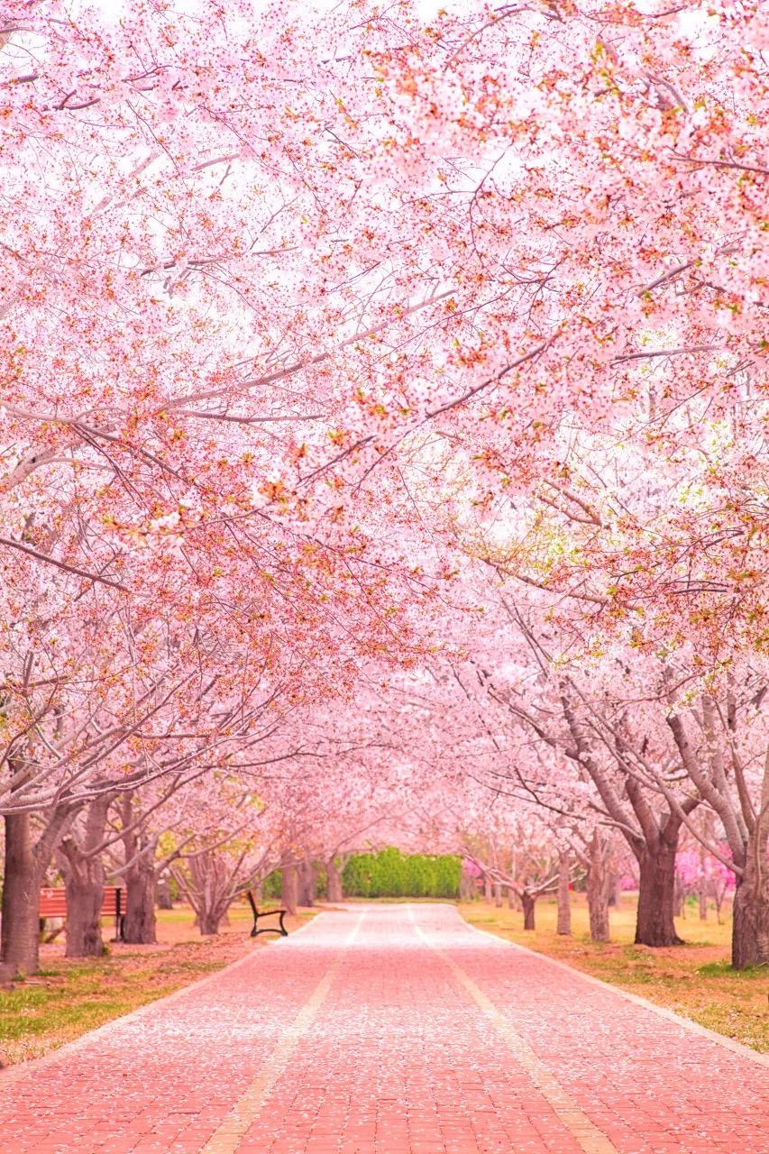 三亚和厦门哪一个更值得去旅游,三亚和厦门哪个更值得去旅游