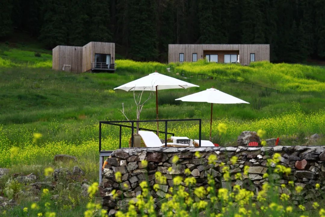 霸气！提前2月预定，仅15间客房，*疆新**这个酒店，够野还够奢