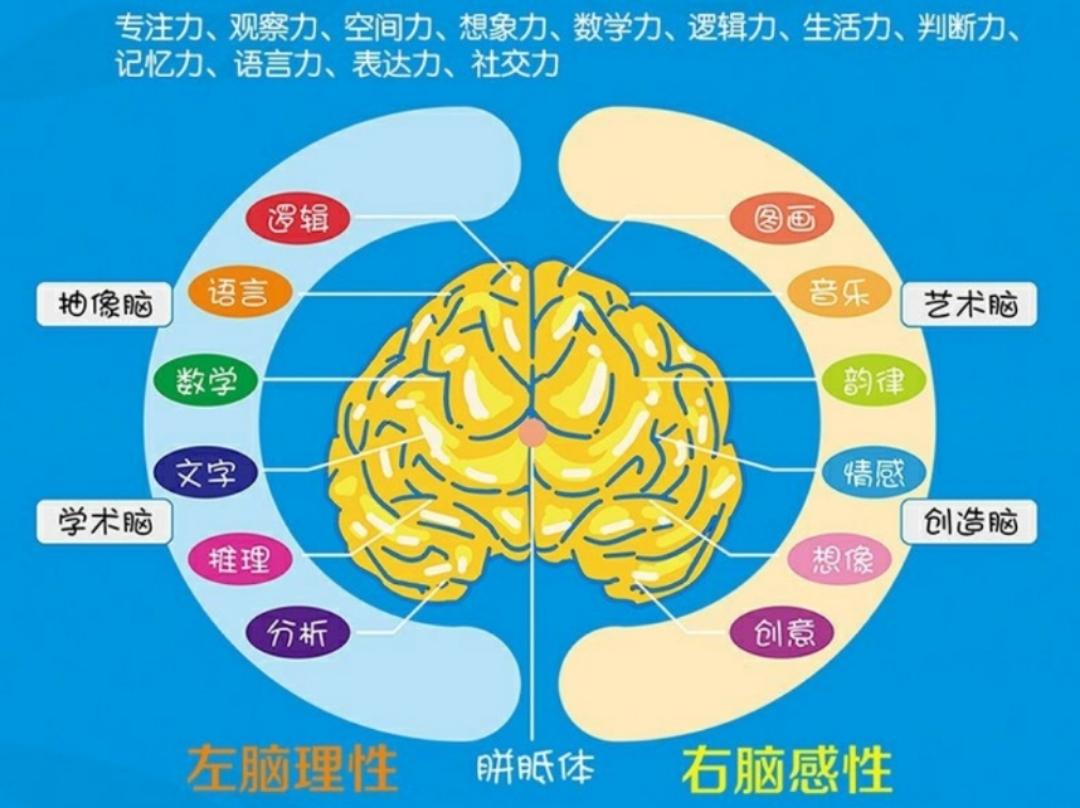 孩子智商100怎么培养,六七岁的孩子高智商应该怎样培养