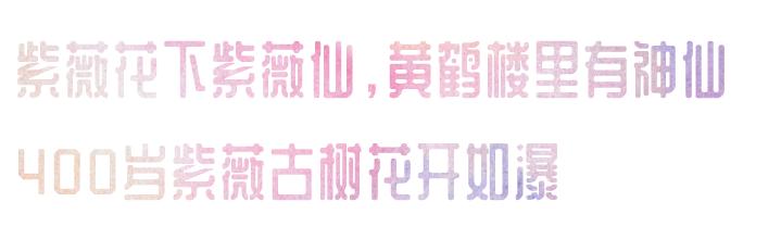 谁是武汉出生的明星,盛夏花旦