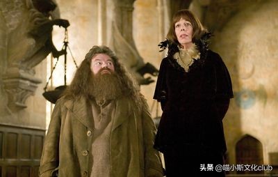 哈利波特中的海格是怎么死的,海格和马克西姆夫人身高差