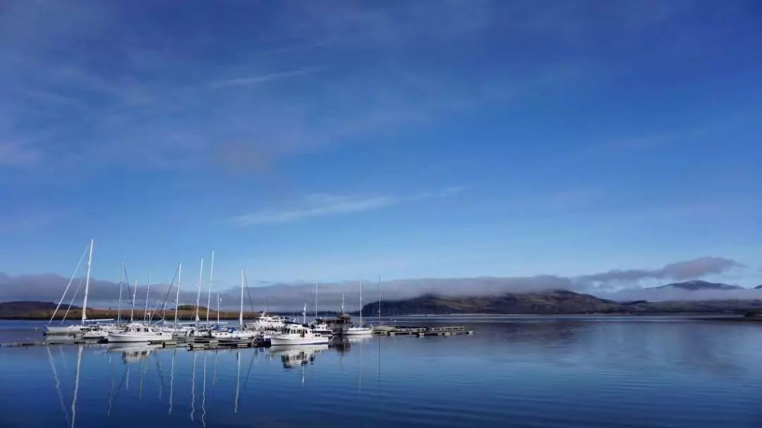 怎样能去英国做司机,如何去英国做大车司机