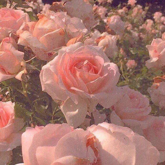 写在信笺上的温柔短句,适合写到书上的温柔短句
