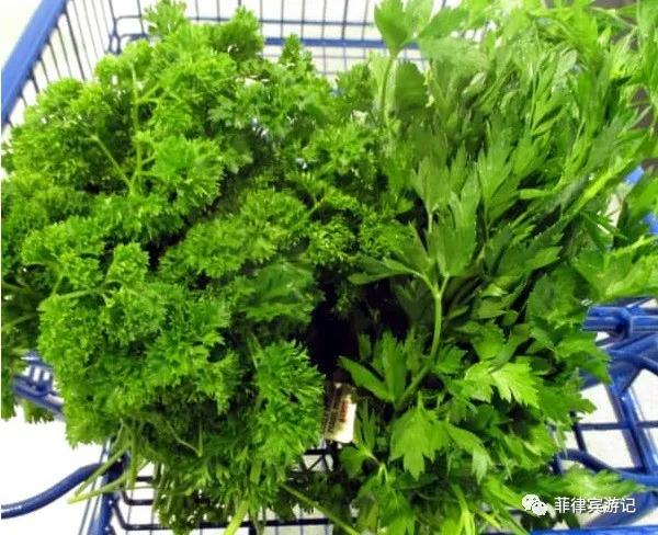 菲律宾青菜价格表,菲律宾蔬菜为什么那么贵