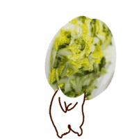 白菜种叶发黄的治疗方法,白菜枯死怎么治