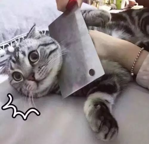 毕业季租房难题解读,毕业季租房防坑指南