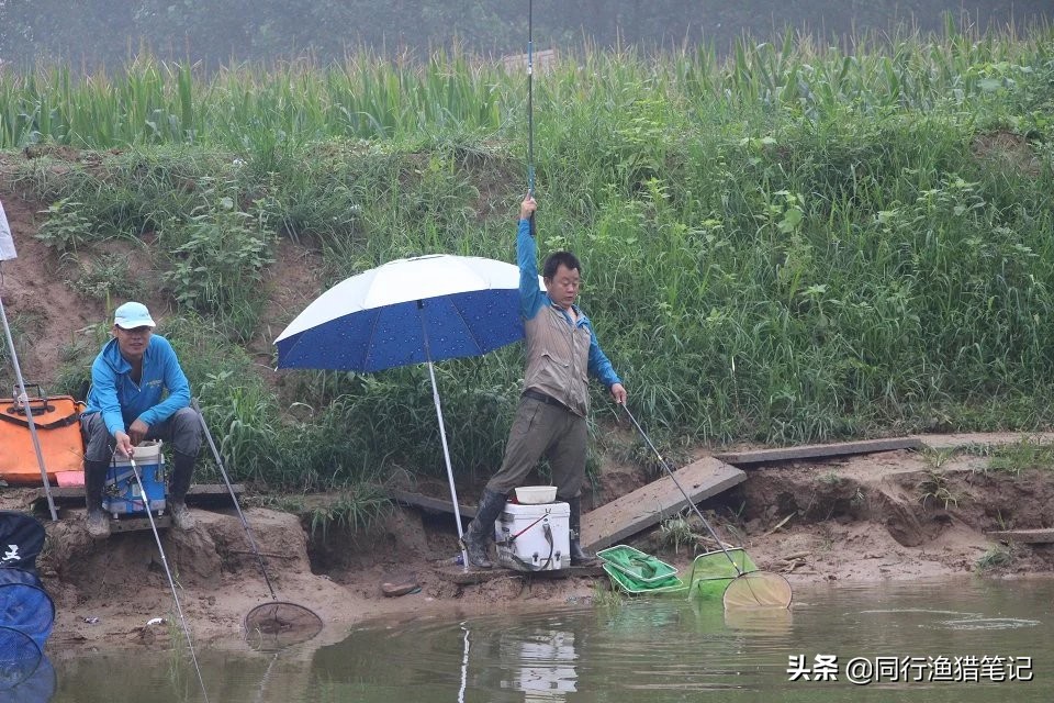 黑坑撒化肥，大多数钓友抱憾而归，唯独他狠狠给老板上了一课