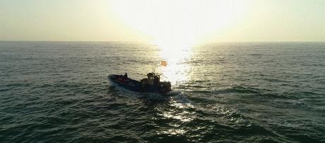 浙江景点花鸟岛,浙江风景花鸟岛