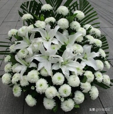 怀念天堂的慈母,怀念天堂慈母