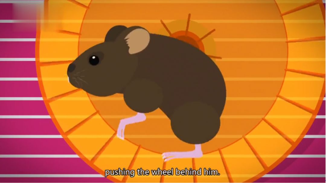 假期儿童纪录片推荐经典,青少年假期推荐纪录片