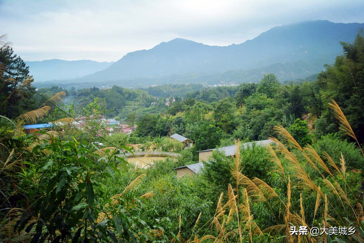 农民养两千余只土鸡变飞鸡,中国深山养殖5亿只鸡视频