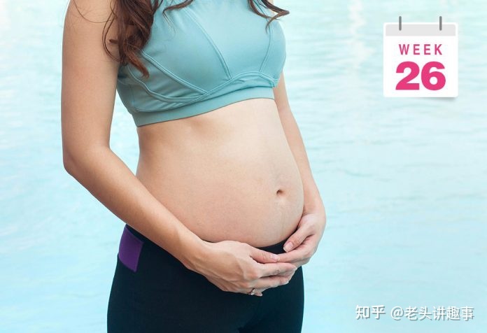 1-40周胎儿发育视频3d,胎儿1-40周发育全过程图解