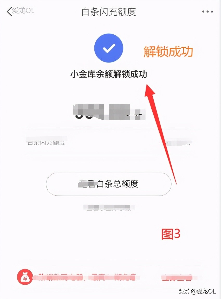 京东小金库冻结的钱怎样转出来,京东开白条冻结的小金库怎么解冻