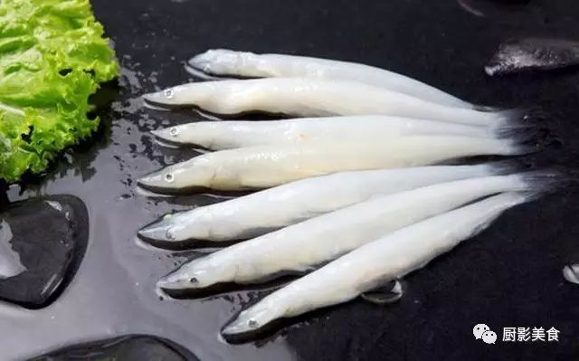 吃海鲜也要讲求时令,吃海鲜最佳的季节是什么时候