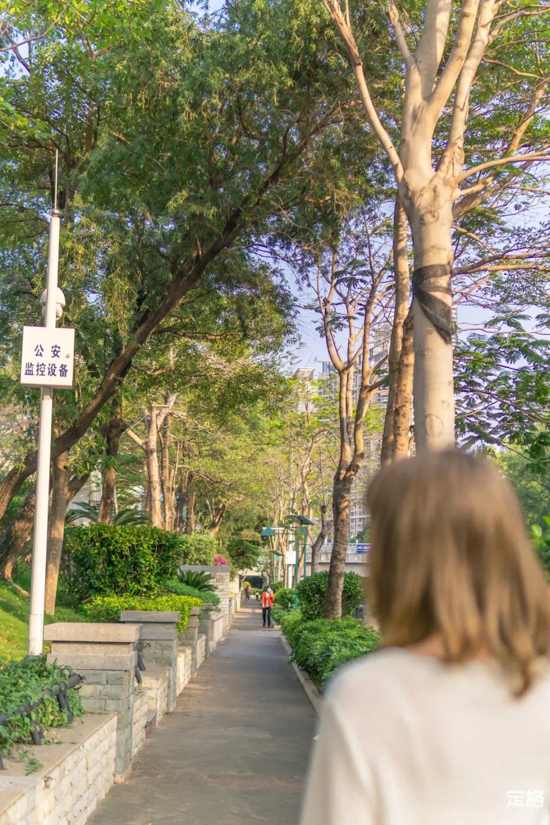 深圳哪里有免费开放的图书馆,河畔古风图书馆深圳