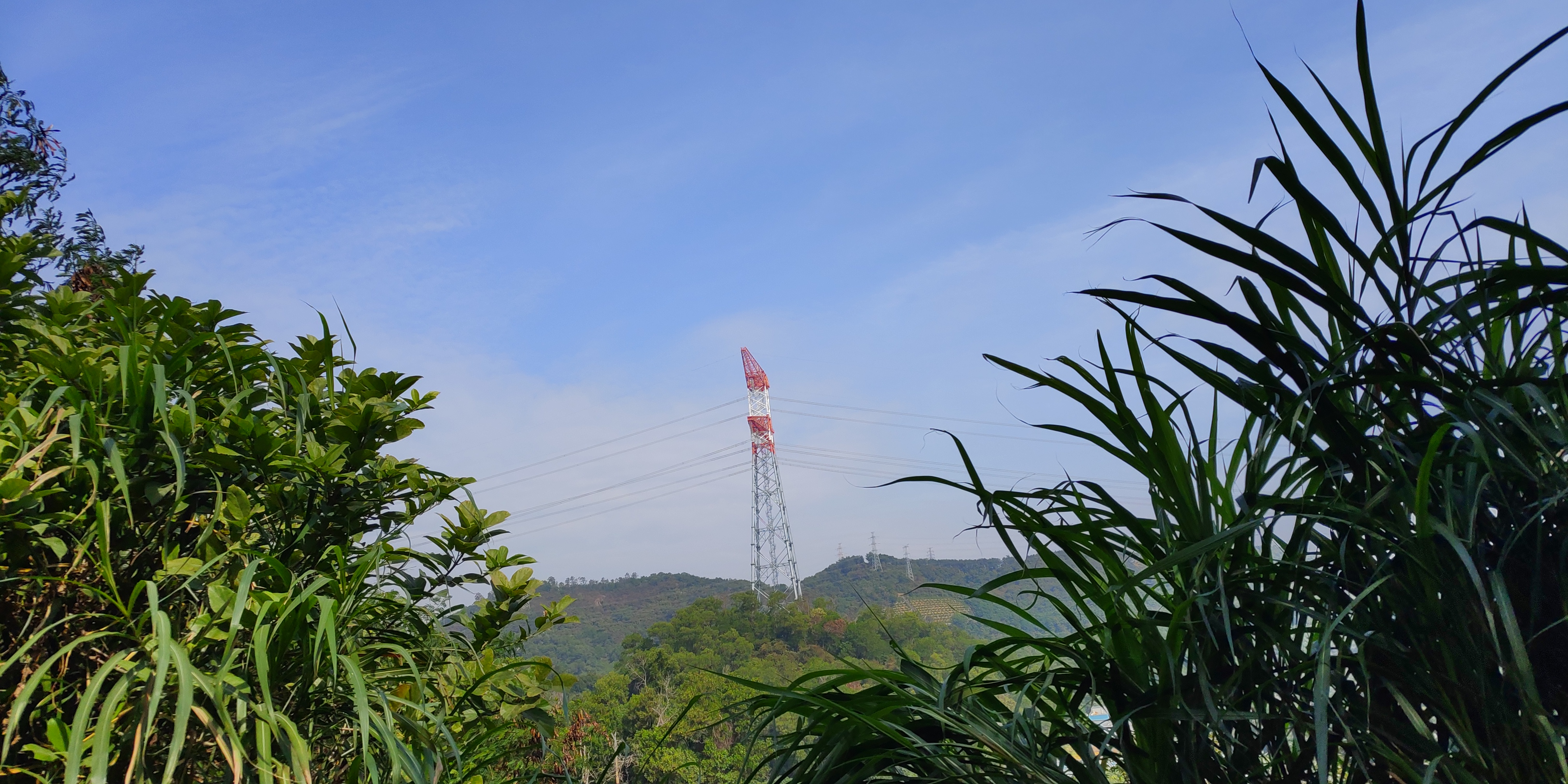 深圳罗湖绿道淘金山绿道攻略,深圳梧桐山绿道徒步攻略