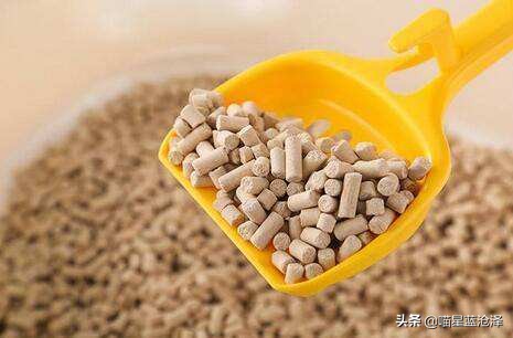 猫砂应该如何挑选好的品牌,猫砂到底该如何选择品牌