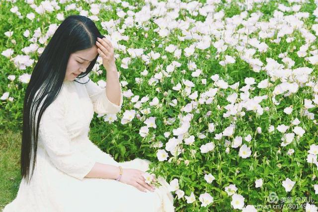 大美新蔡生态水城,大美新蔡等你来