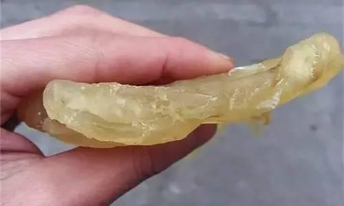 花胶最简单的泡发,花胶正确的泡发