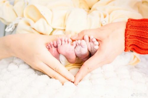 张杰谢娜现在婚姻状况这是真的吗,张杰谢娜现在的婚姻状况