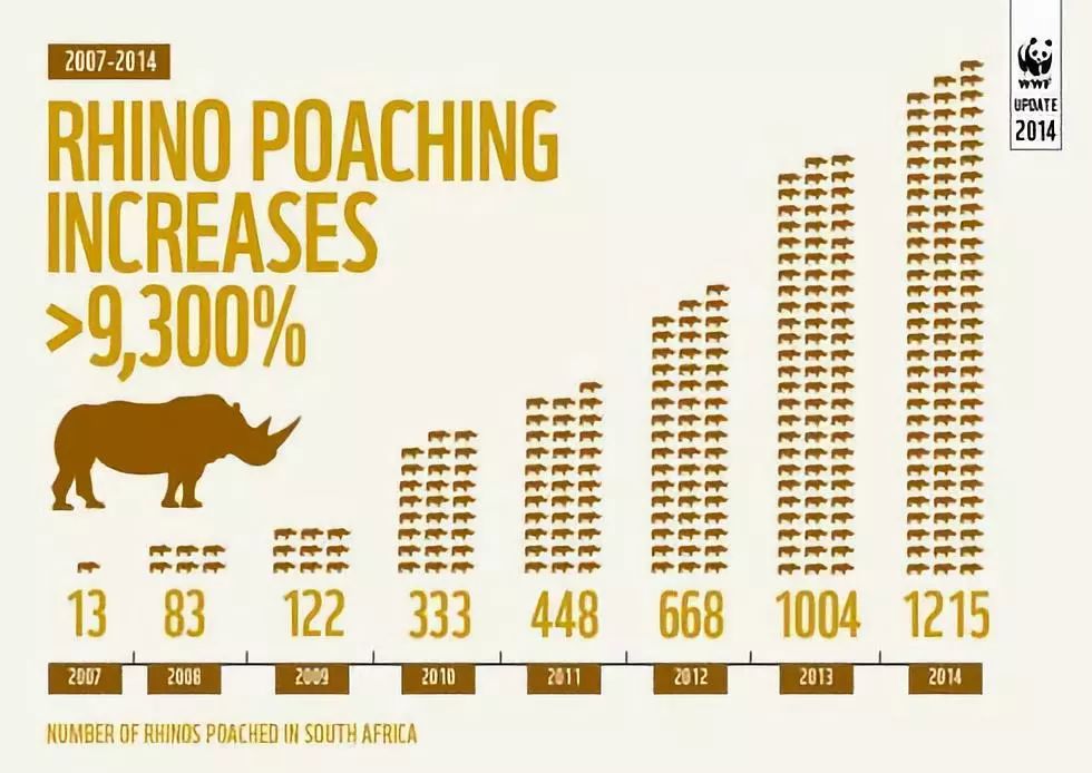 bbc封神,让很多人看一次哭一次的视频